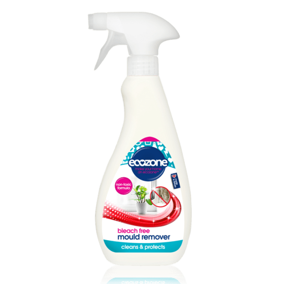 Ecozone Products mould remover